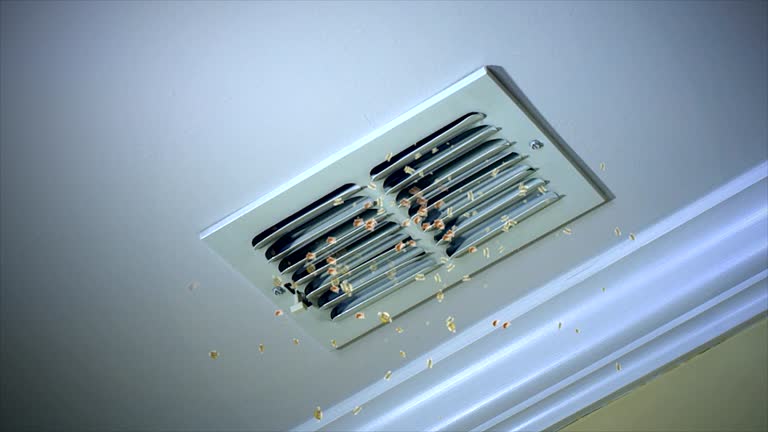 Best Air Duct Cleaning Near Me in Alamo, TN