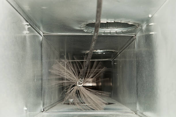 Best Professional Duct Cleaning Services  in Alamo, TN