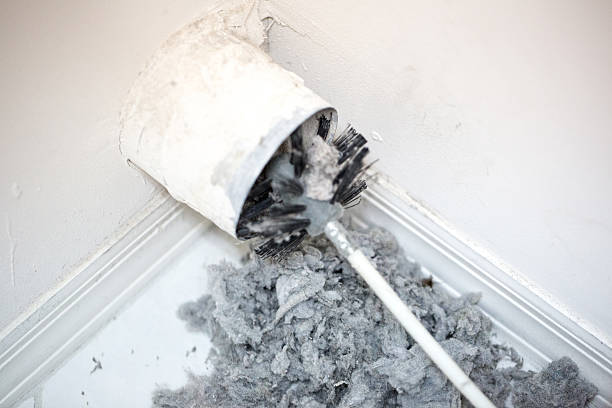 Best General Air Duct Cleaning  in Alamo, TN